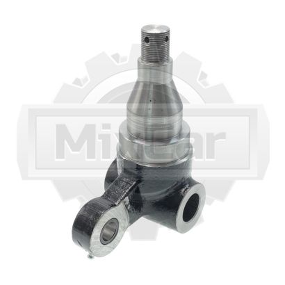 Кулак поворотный Hyster H2.50DX (2048068) (F)