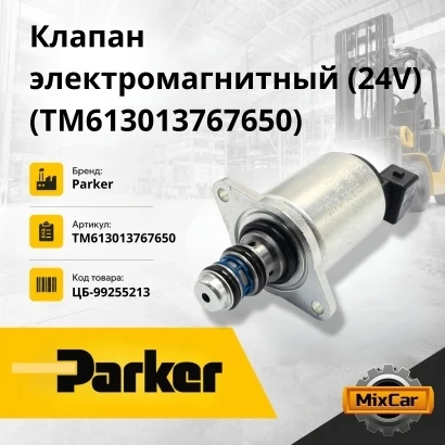 Клапан электромагнитный (24 V) (TM613013767650)