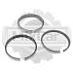 Кольца поршневые на погрузчик Nissan DX-25 TD27 (2*2*4) 96mm 1203343G11
