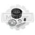 Ролик натяжителя Toyota (88440-0K010)