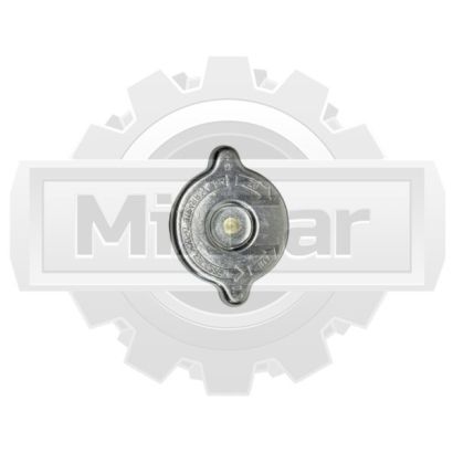 Крышка радиатора Combilift CPK00058
