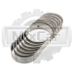 Вкладыши коренные Isuzu 6BB1 (0,25) (S) EC10011B