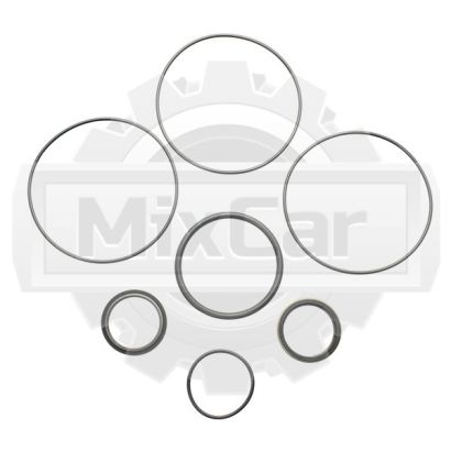 Ремкомплект гидростата TCM 516G242411 (F)