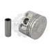 Поршень Nissan K15 1.0 12010FU371