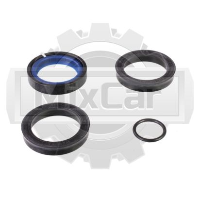 Сальники гидроцилиндра Pramac GP90033