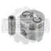 Поршень Yanmar 4TNV84 (2*2*4) (std) (S) 12950822080