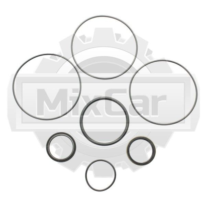 Ремкомплект гидростата TCM 516G242411 (F)