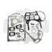 Комплект прокладок двигателя Perkins низ (U) 5LB0379