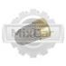 Фильтр топливный ТНВД Mitsubishi S4Q2 (сетка) (16728FM000)