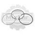 Кольца поршневые для погрузчика Toyota 62-7FD20 1DZ (0,5) 1 цилиндр 130137820171