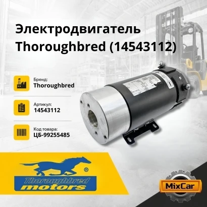 Электродвигатель Thooughbred (14543112)