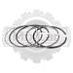 Кольца поршневые на погрузчик Toyota 5FD25 2J (std) 4Ring 130117600971
