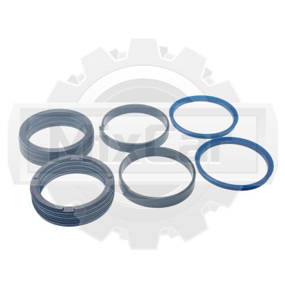 Комплект сальников гидроцилиндра Bolzoni (50000610 )