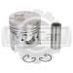 Поршень Isuzu 4FE1 (std) D76*H80 (2*2*4) #A006 8941697471