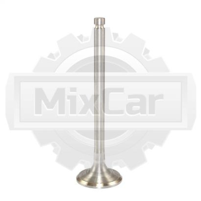 Клапан выпускной Xinchai 495BPG (U) 495B03015