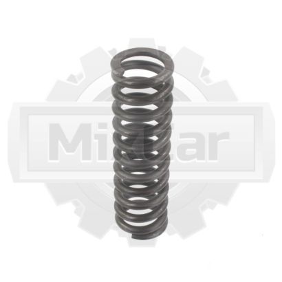 Пружина BT 169845 (TVH)