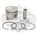 Поршень Nissan TD27 96 mm в сборе с кольцами PN33250