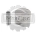 Поршень Isuzu 3KC1 (std) (D74*H70) (2*1.5*3.5)