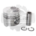 Поршень Toyota 1DZII (0,5) (S) 131037820271