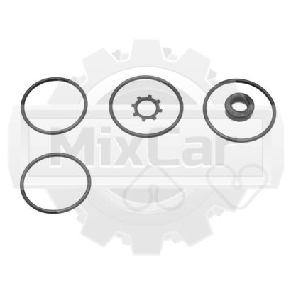 Ремкомплект гидроцилиндра Haulotte 2505006150 (TVH)