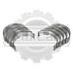 Вкладыши коренные на погрузчик TCM FD18C19 Isuzu 4LB1 (0,25) EC10008B