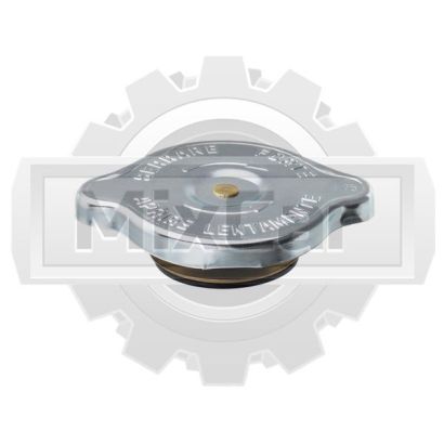 Крышка радиатора CVS (F) errari 580210 (TVH)