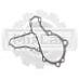 Прокладка помпы Jungheinrich DFG430 V2403 51362318