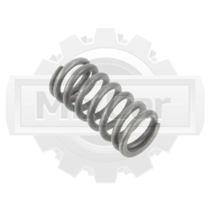 Пружина CVS (F) errari 591598 (TVH)