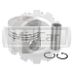 Поршень Toyota 1DZII (1.0) (13105-78202-71)