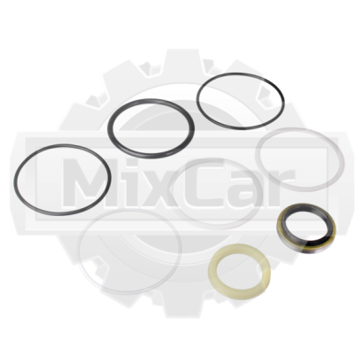 Ремкомплект ЦН ТСМ FD25T3Z D-35 (F) 22N5852921