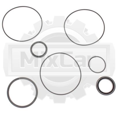 Ремкомплект гидростата Toyota (044552001271) (F)