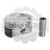Поршень Hyundai L4KB (std) (87.87 mm) (234102C250)