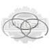 Кольца поршневые Toyota 13Z (0,5) (1 цил.) 130137876071