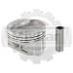 Поршень Nissan K25 (std) 1.2*1.2*2.5 12010GS10A