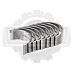 Вкладыши шатунные Toyota 1DZ/1DZII (1.00) 20мм (13207-78201-71)