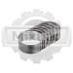 Вкладыши шатунные Mitsubishi S4S-DT 32A1909011