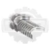 Вкладыши коренные Nissan H15 / K25 (std) (12231FY500) [ЦБ-99115376]