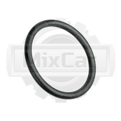 Кольцо уплотнительное АКПП TCM (1124382211) (TVH)