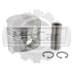Поршень Nissan TD27 96 mm (H) 86 mm/d 30 (F) 120106T005