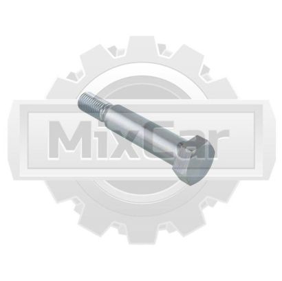 Болт специальный Ausa 640422500