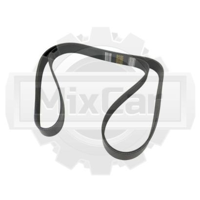 Ремень приводной CVS (F) errari 604046 (TVH)