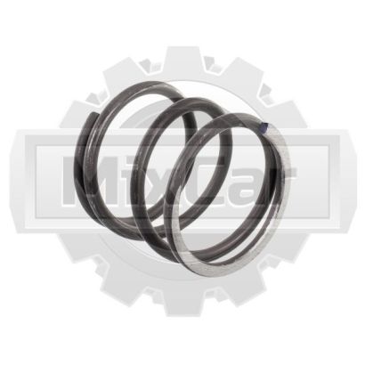 Пружина Dalian CPCD30 1124382081