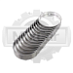 Вкладыши коренные Toyota 13Z (0,25) 117047833171