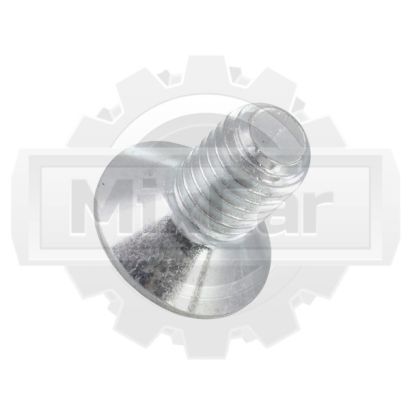 Винт Jungheinrich 24202910 (TVH)