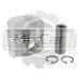 Поршень Nissan TD27 (S) 120106T005