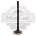 Клапан впускной на погрузчик Komatsu FG10C-17 Nissan H15 1320150K00