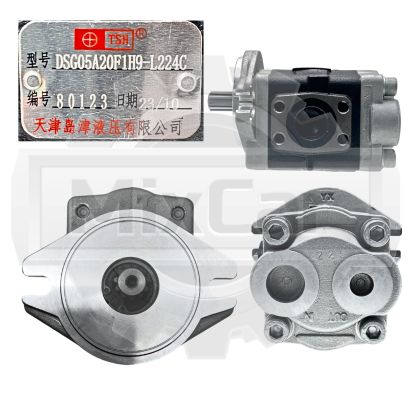 Насос гидравлический Baoli CPD20 (F) (0009812235)