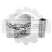 Поршень Nissan K15 (std) 75.5 mm 12010FU320